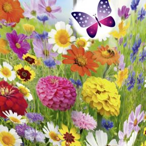 Blomsterfrø, Landlig Blomsterpragt